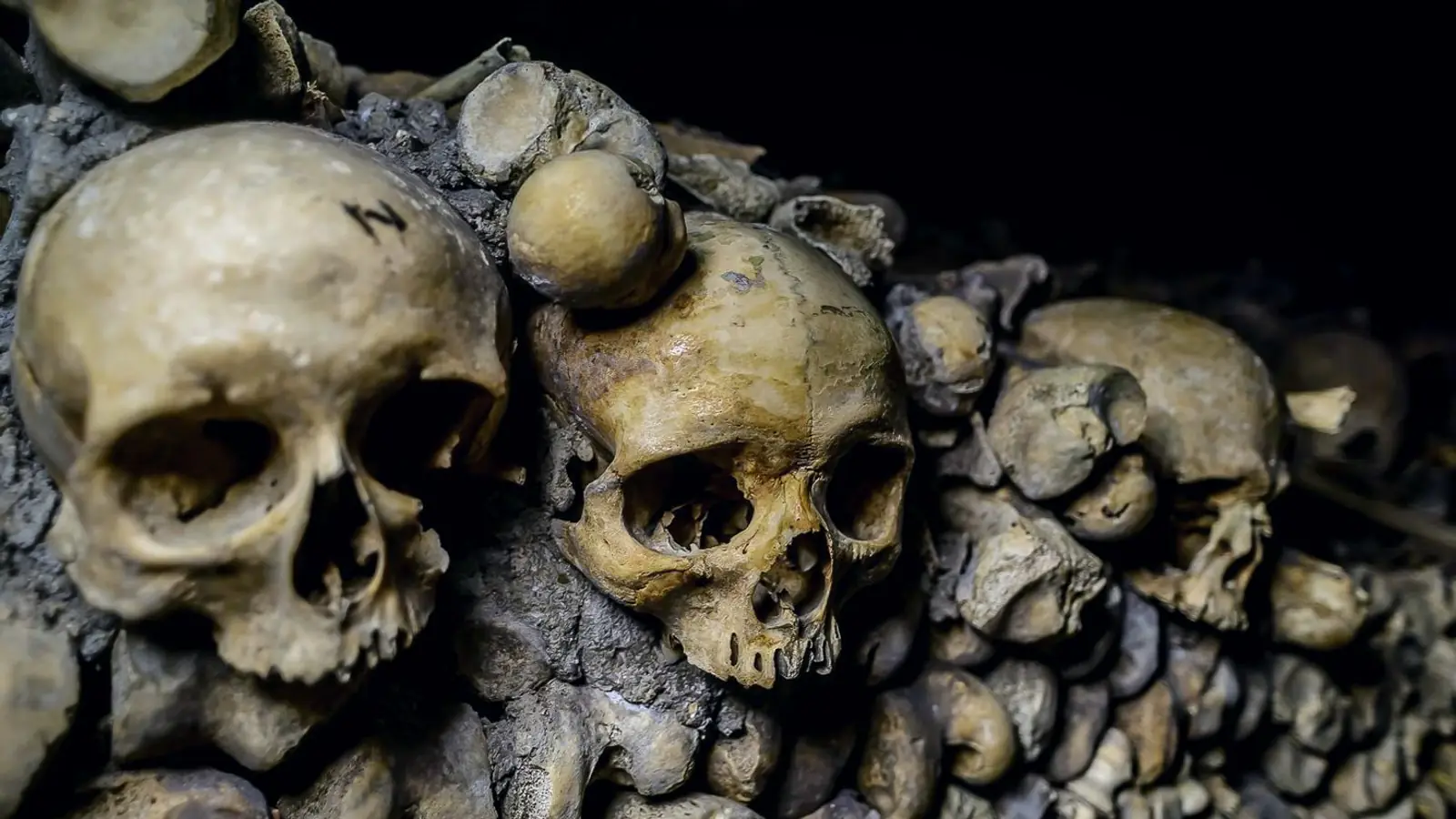 Paris Catacombs Entry Ticket with Audio Guide ($43) — photo from the booking listing, Catacombs of Paris, Paris