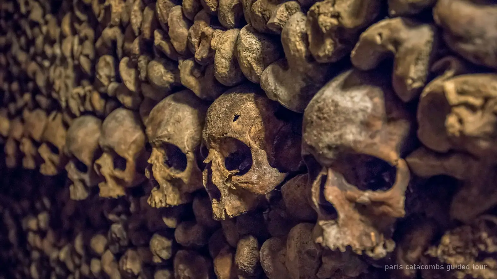 Paris Catacombs Guided Tour with Special Access ($156) — photo from the booking listing, Catacombs of Paris, Paris