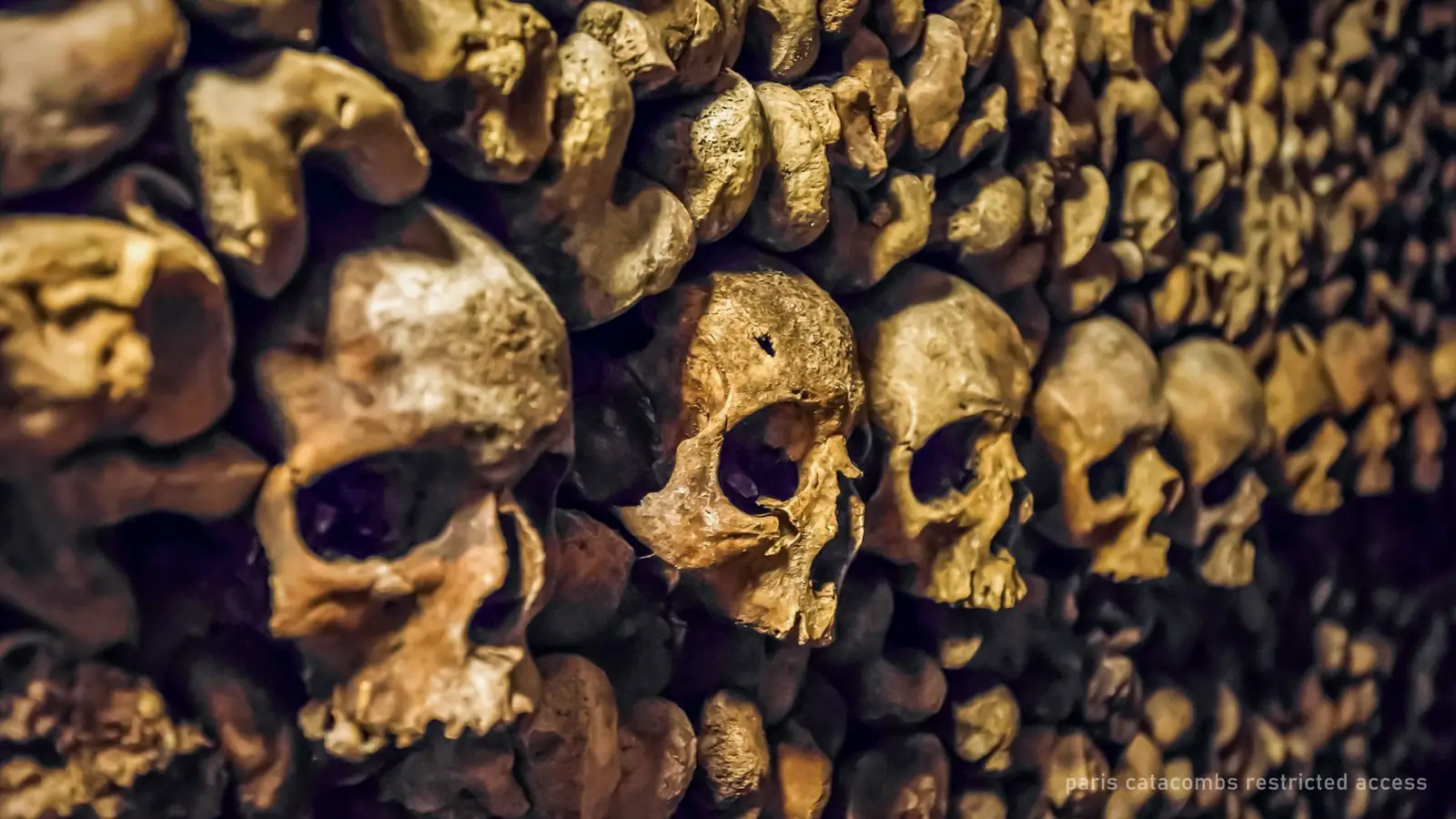 Paris Catacombs Restricted Access Tour, Max 7 ($212) — photo from the booking listing, Catacombs of Paris, Paris